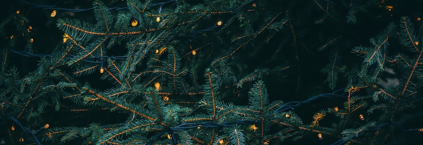 Noël 2022