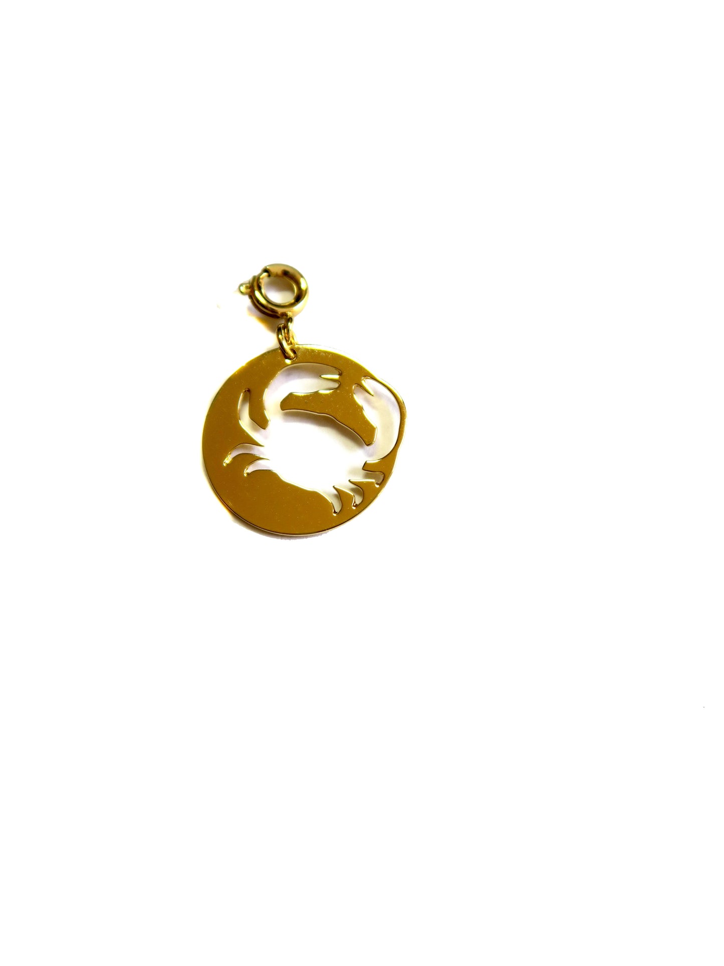 Médailles signes astrologiques - Hirondelle Bijoux