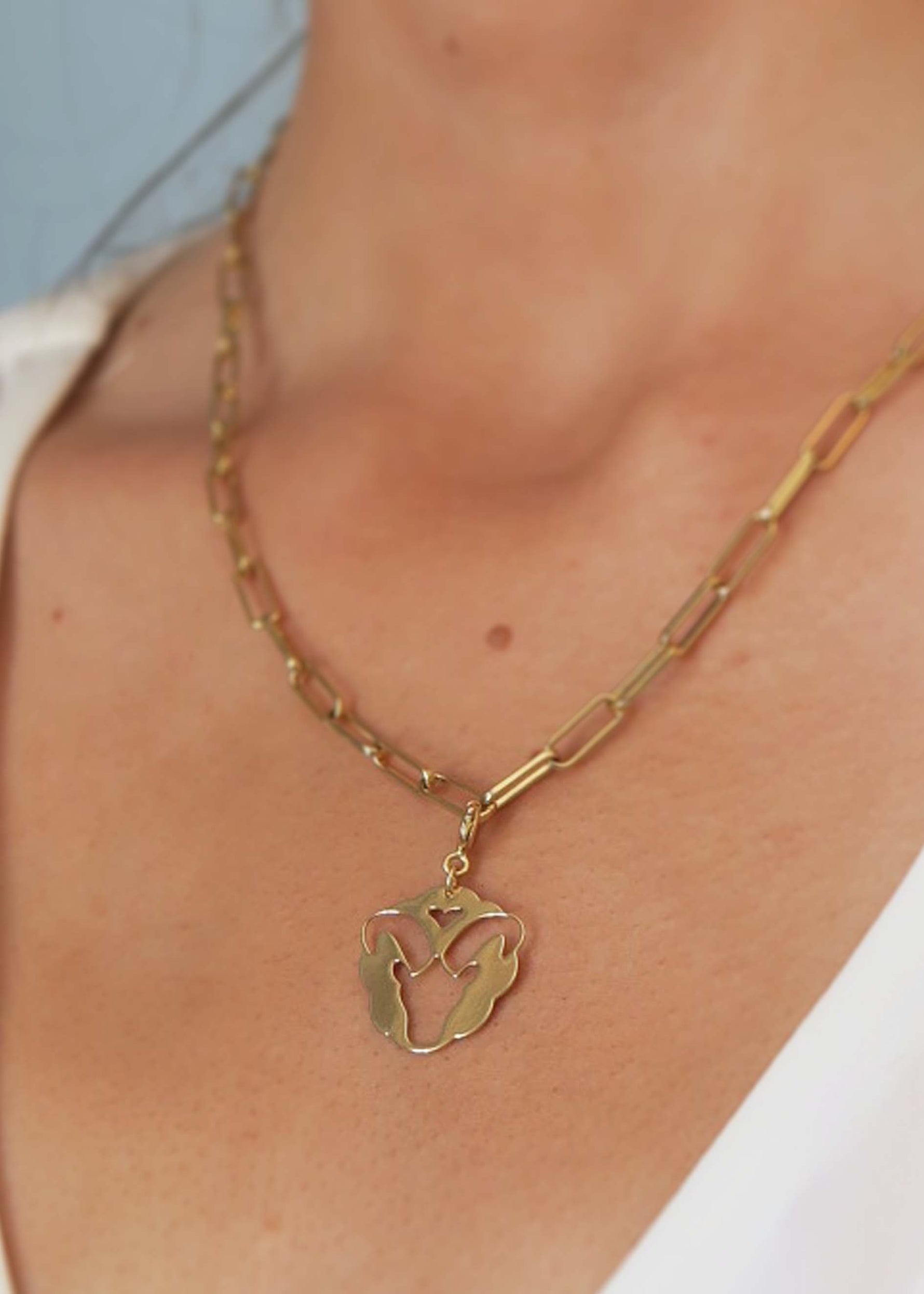 Collier signe capricorne astrologie signe du zodiaque- Hirondelle Bijoux