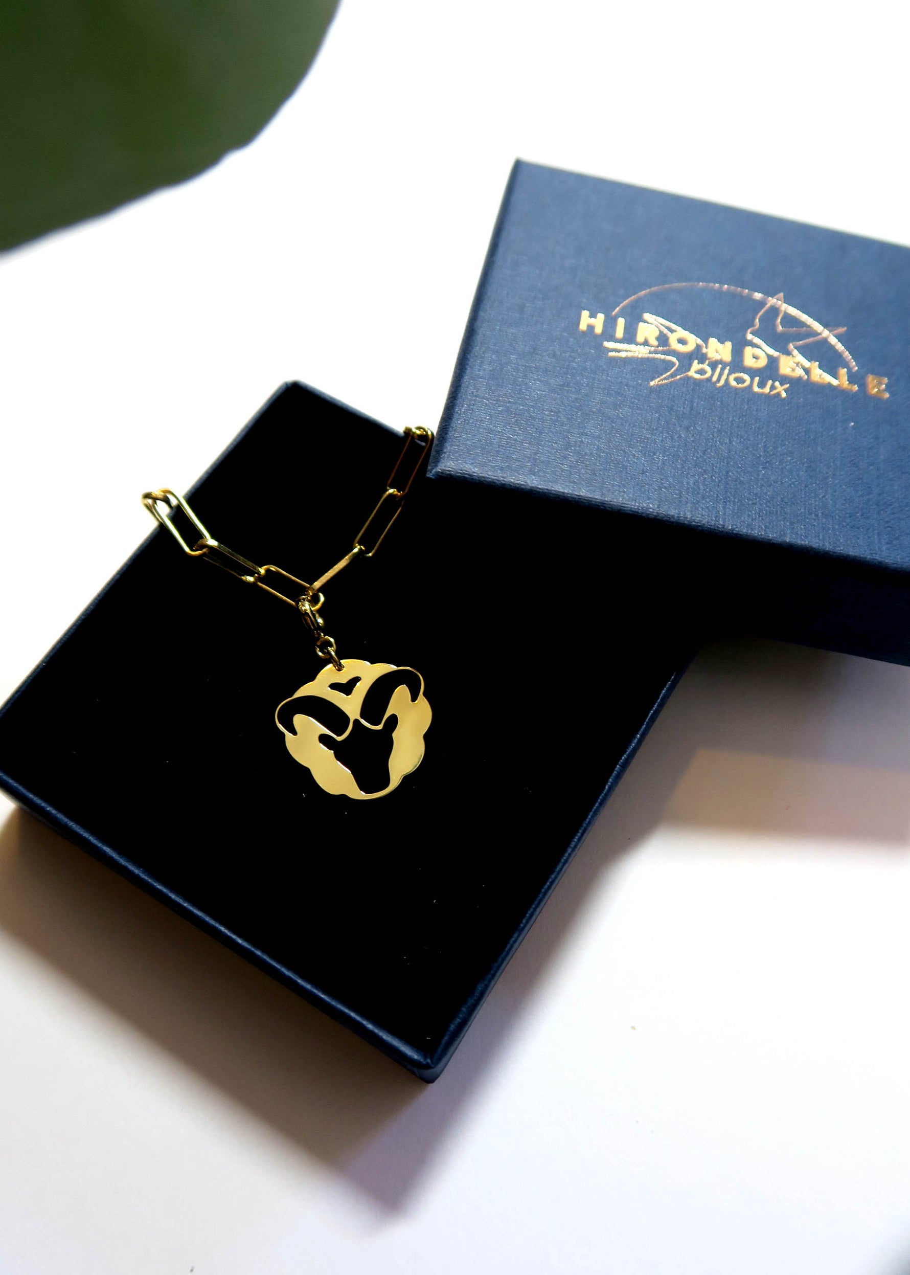 Collier signe capricorne astrologie signe du zodiaque- Hirondelle Bijoux