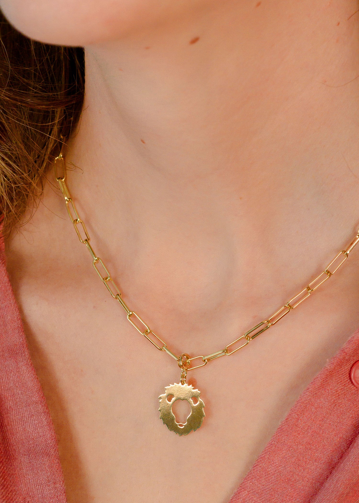 Collier signe Lion astrologie signe du zodiaque- Hirondelle Bijoux