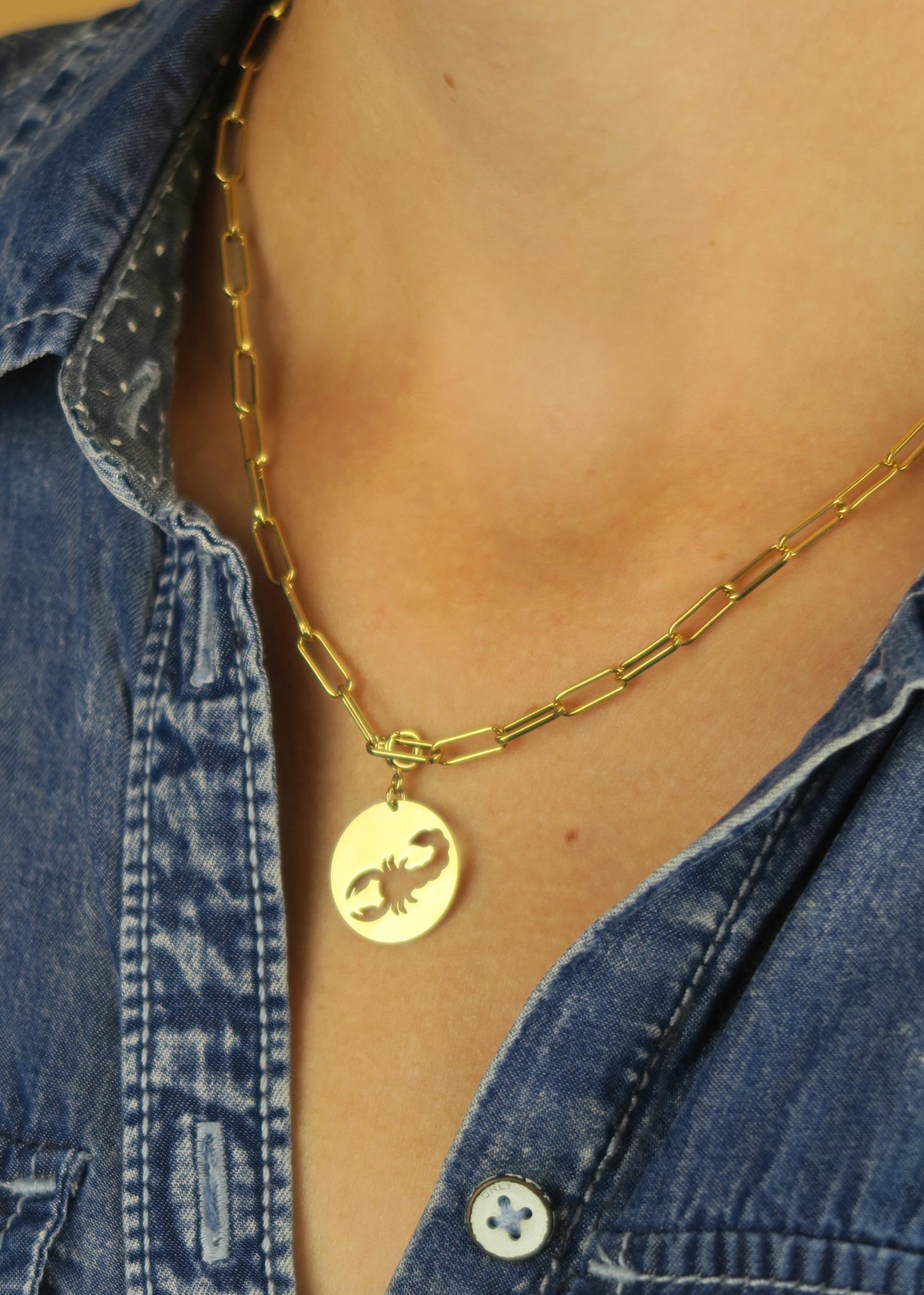 Collier signe scorpion astrologie signe du zodiaque- Hirondelle Bijoux