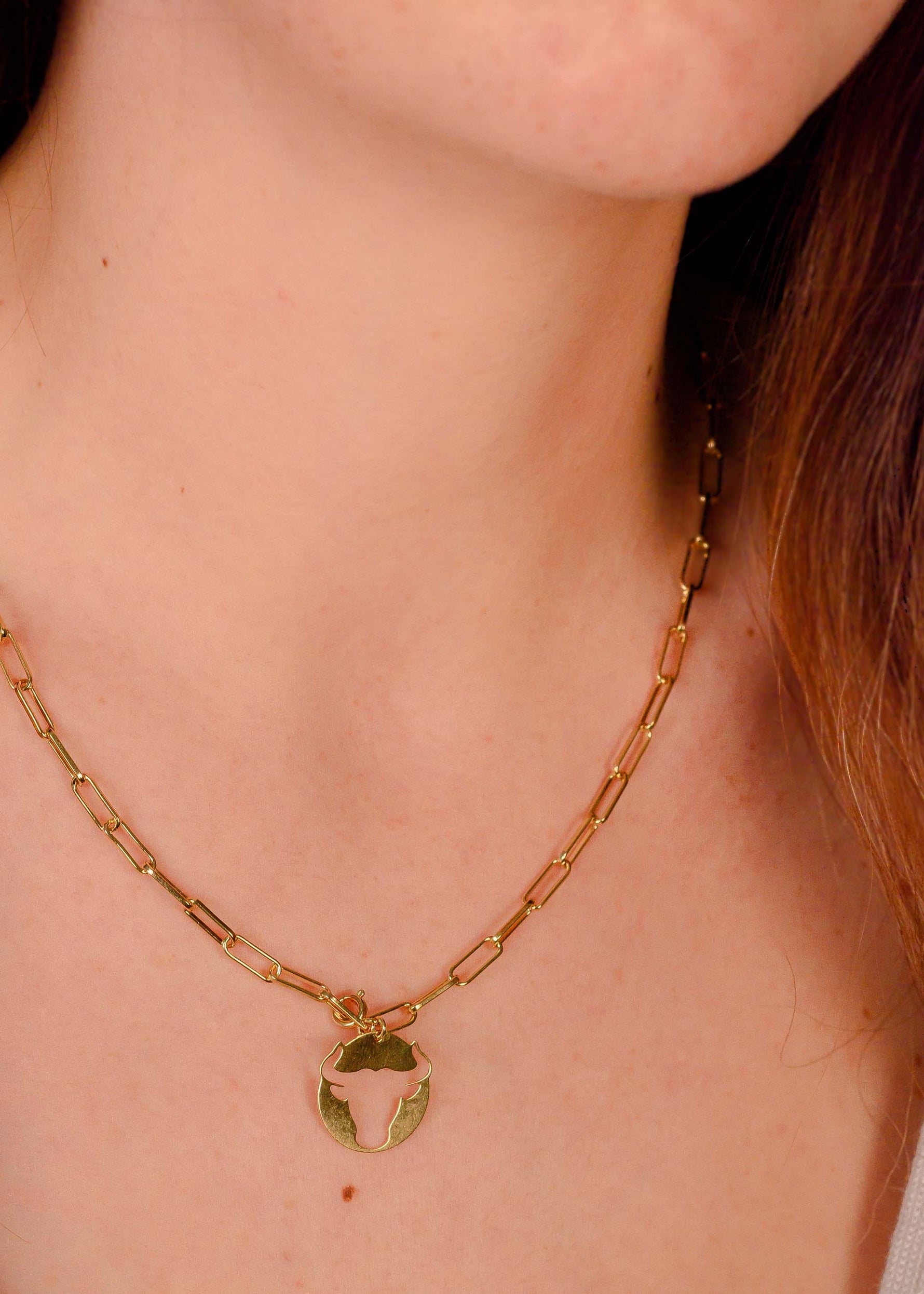 Collier signe taureau astrologie signe du zodiaque- Hirondelle Bijoux